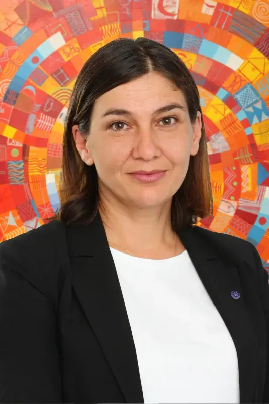 Master Lawyer Vania Panteleeva