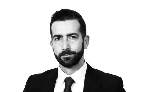 Master Lawyer giorgio BIANCO