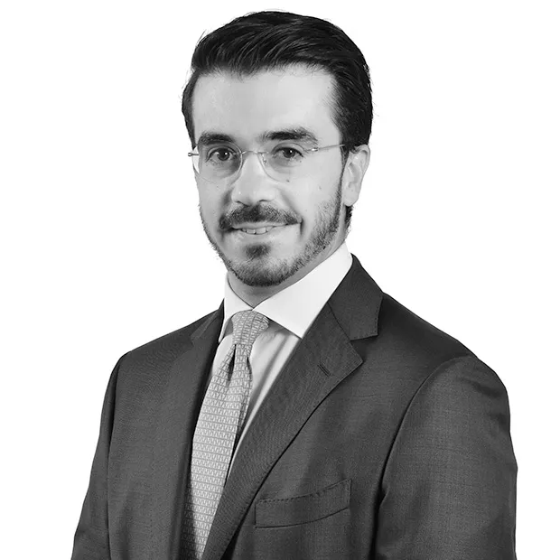 Master Lawyer Francesco FIORILLI