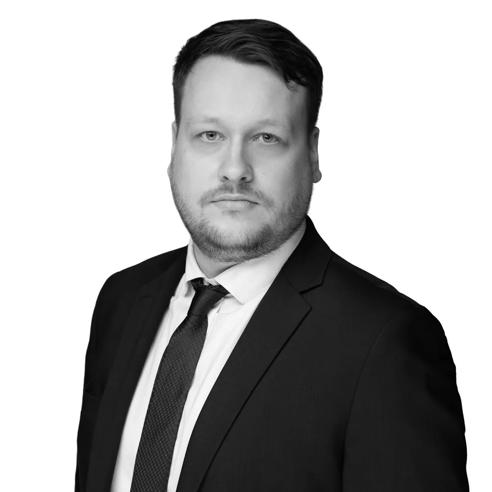 Master Lawyer Mindaugas TAMULIS