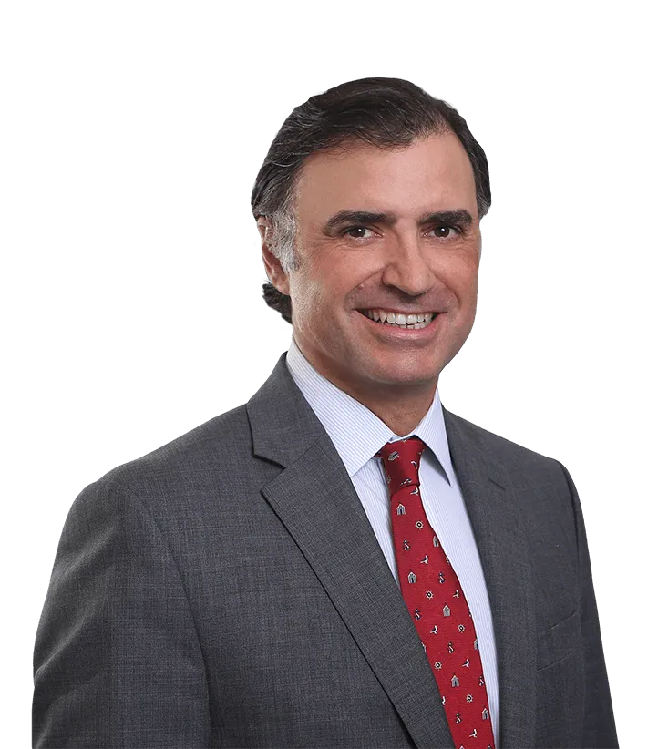 Maestro Abogado Diego BOTANA